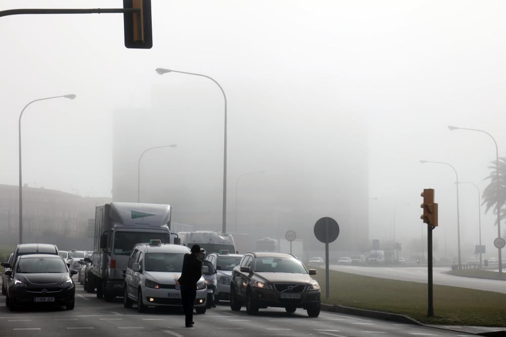 Palma im Nebel