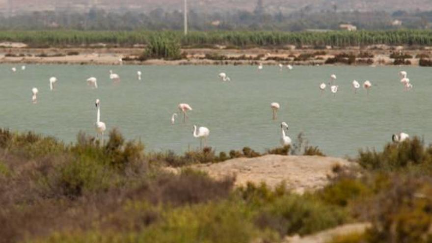 Las Salinas de Santa Pola, en una imagen de archivo.