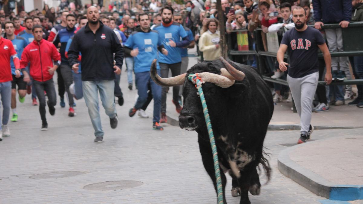 Los toros han vuelto esta tarde a correr por las calles de Carcabuey.