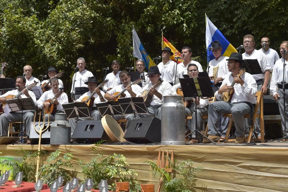 Feria de ganado