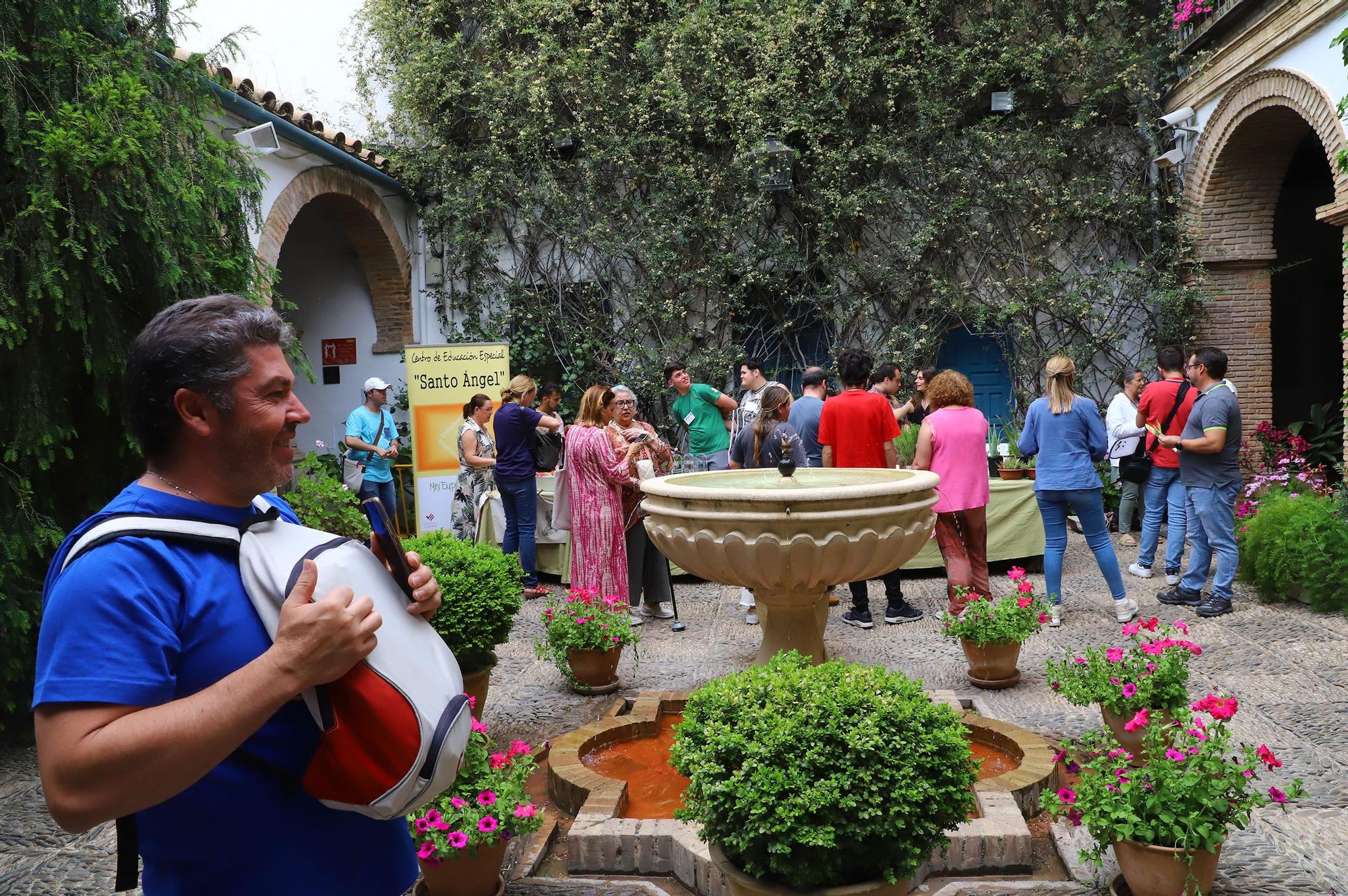 La fiesta de los Patios llega a Viana