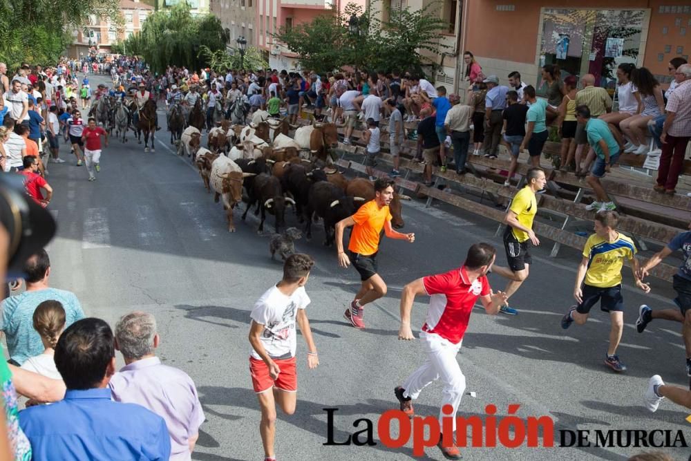 Séptimo encierro en Moratalla