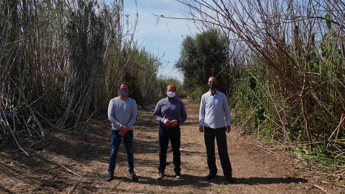 Llorenç Mas, Miquel Mir y Maties Rebassa, hoy en el parque de s&#039;Albufera.