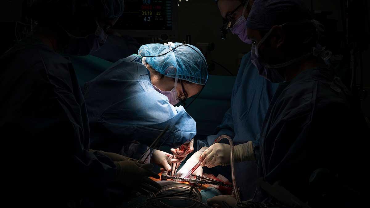 Un momento de la operación de trasplante de corazón a Montse López en el Hospital Clínic.