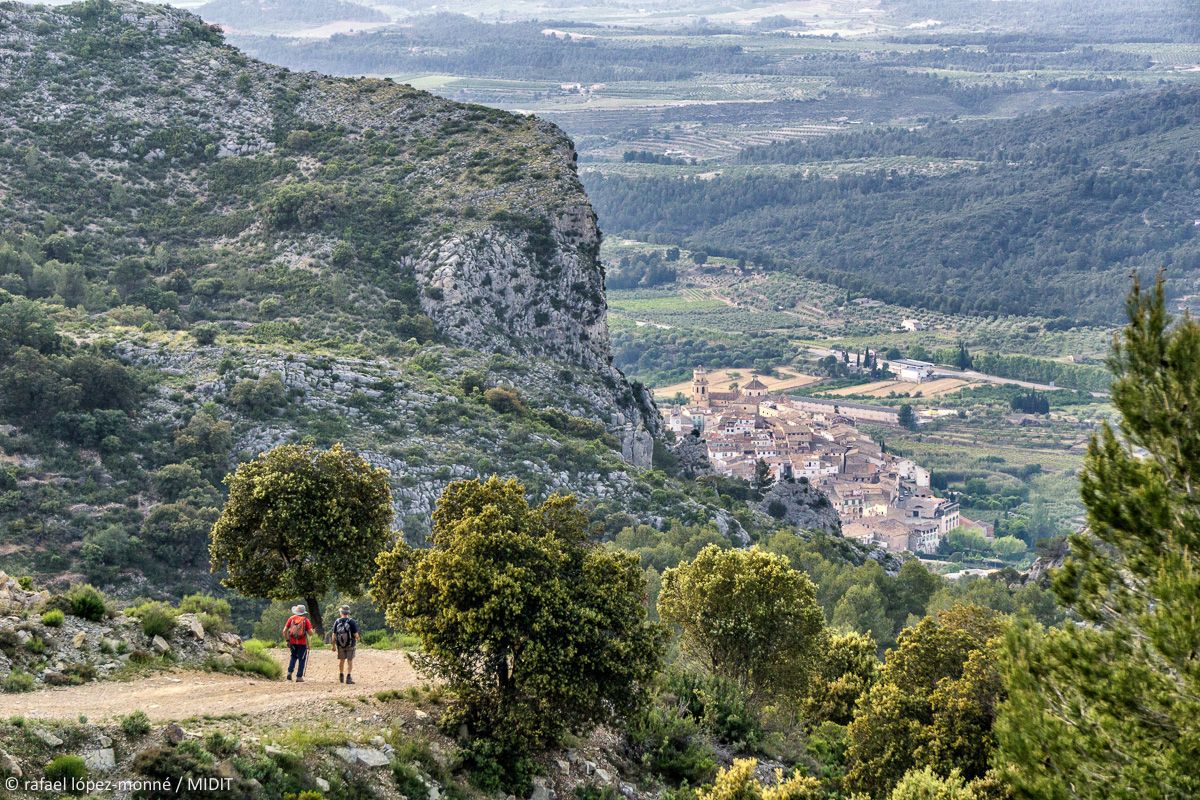 Interior de les Terres de Mestral