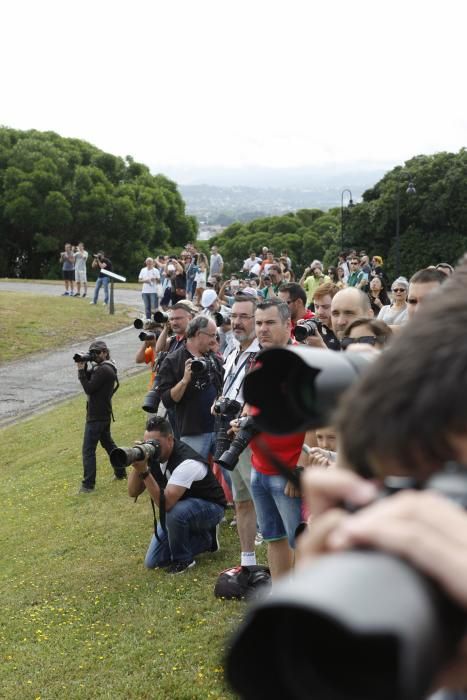 Ensayo de los aviones y helicópteros que participarán en el Festival Aéreo de Gijón