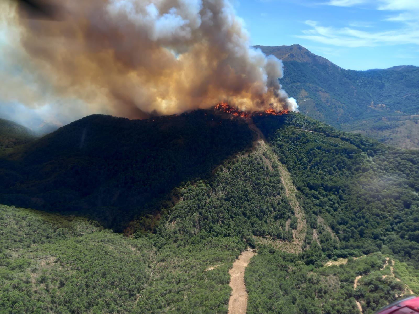 Incendio forestal en el paraje La Resinera de Pujerra