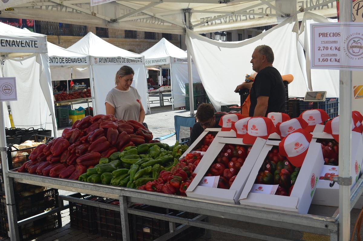 Dos productores que este año se estrenan en la Feria del Pimiento de Benavente.