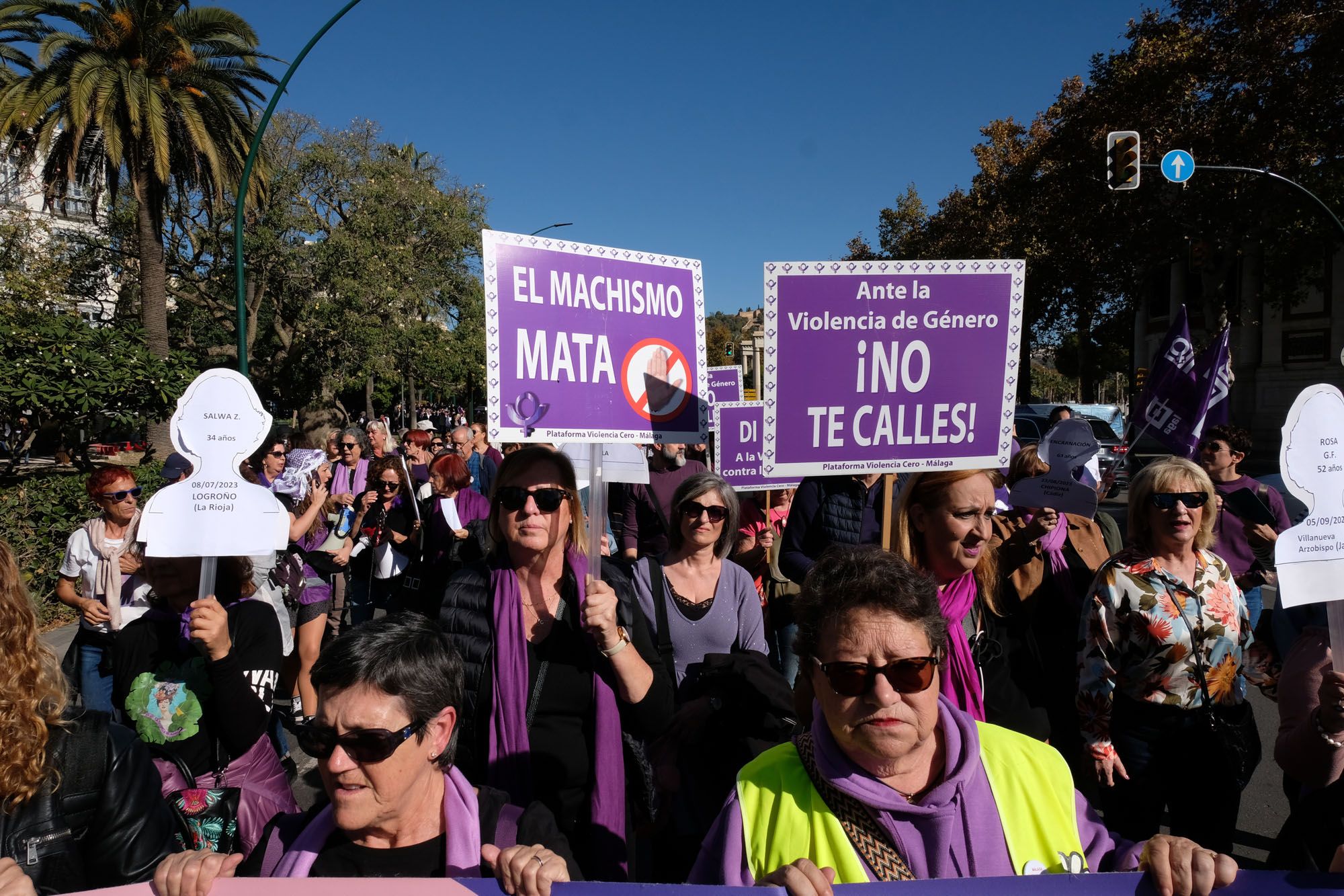 La marcha del 25-N en Málaga por el Día de la eliminación de la violencia machista contra las mujeres, en imágenes