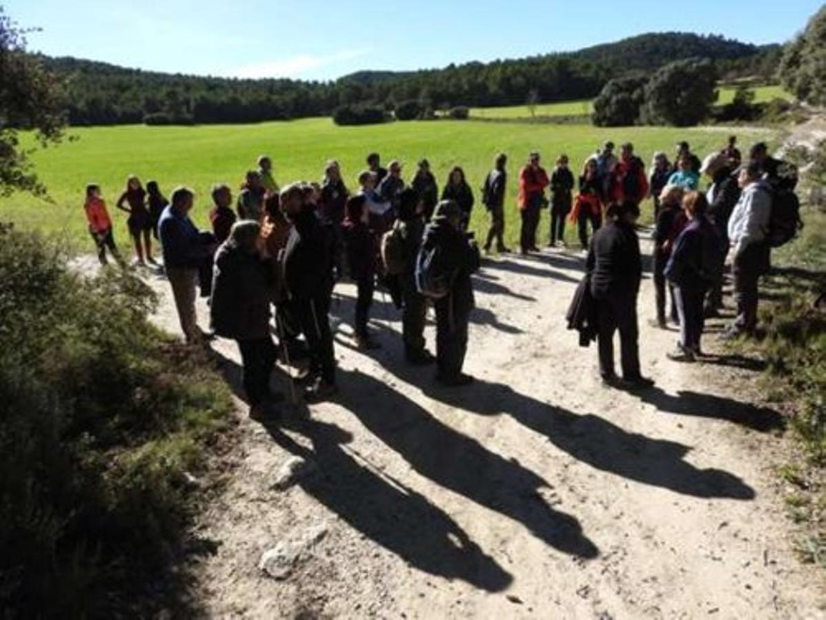 Excursión que realizó el colectivo ecologista a la partida de Polop Alt.