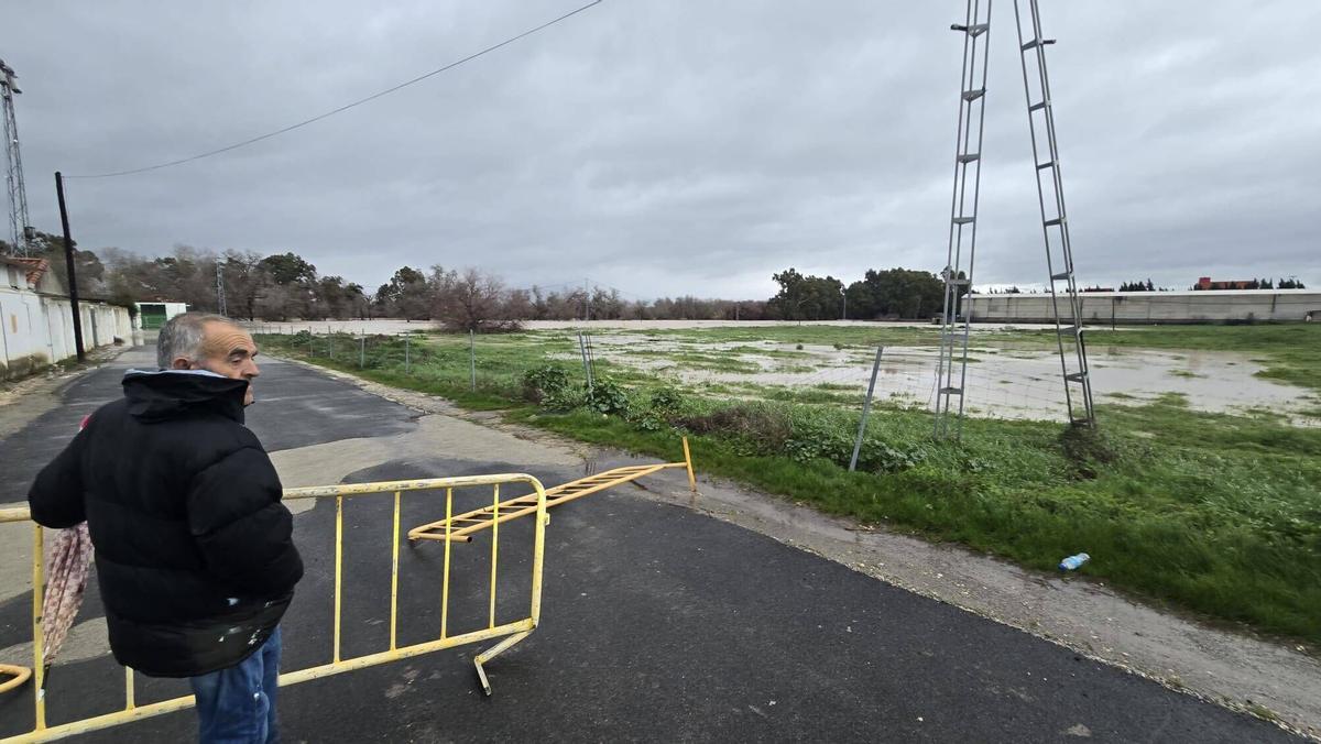 Inmediaciones del campo de fútbol de El Carpio, anegado por la crecida del río Guadalquivir