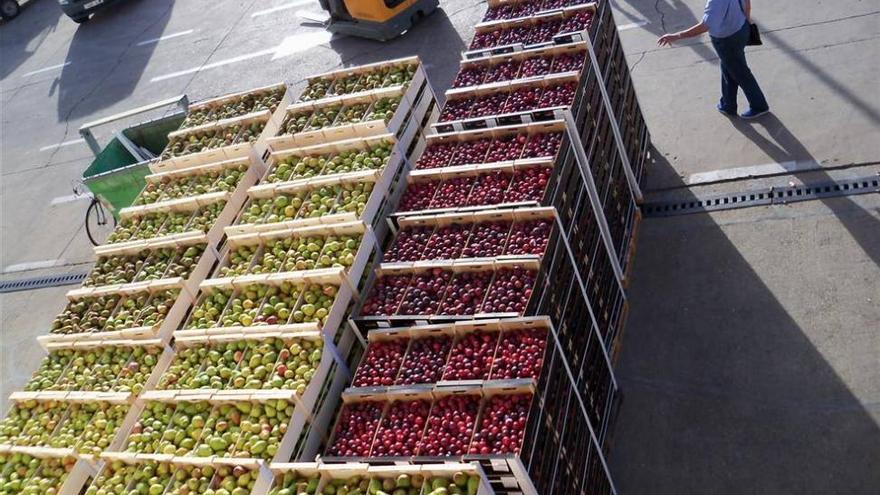 El Banco de Alimentos atendió en el 2014 a unas 2.400 personas más