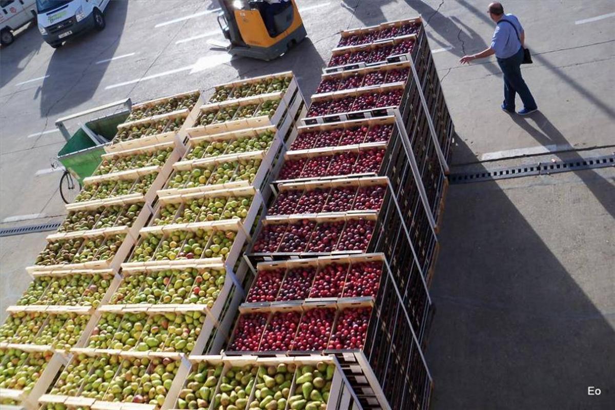 El Banco de Alimentos atendió en el 2014 a unas 2.400 personas más