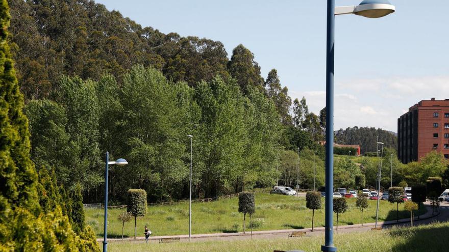 Esta es la zona de Avilés donde ya negocian construir 250 viviendas de alquiler accesible