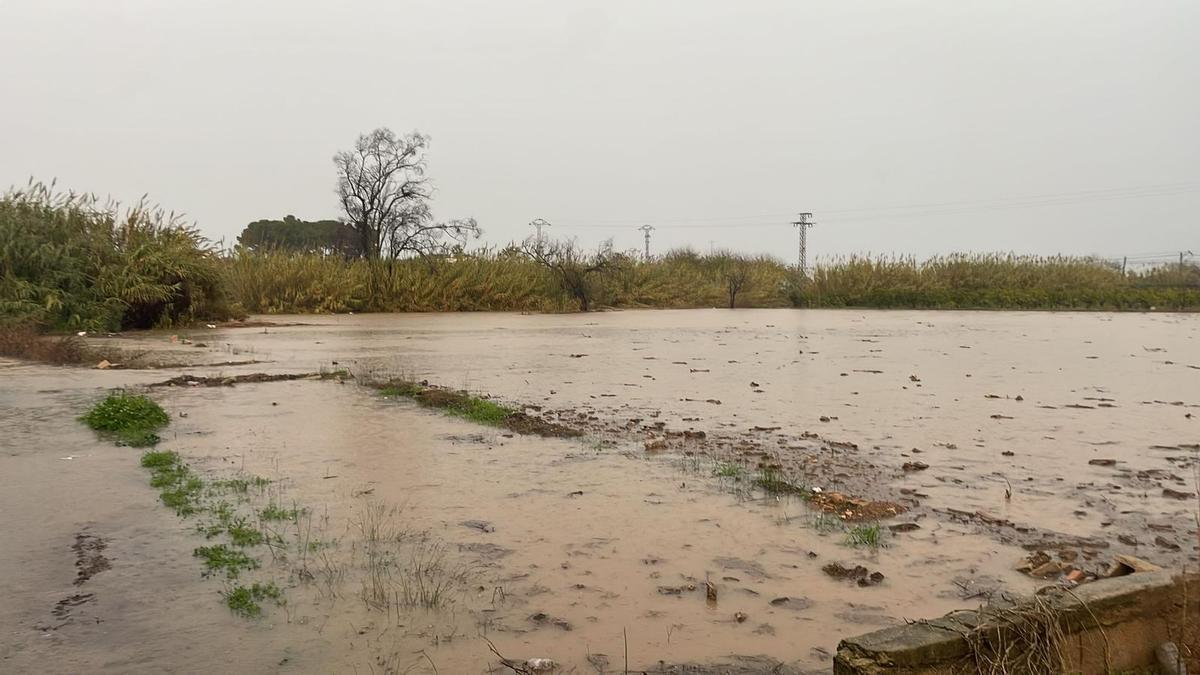 Desbordamiento del río Verde en el linde entre Alberic y Massalavés que ha obligado a cortar algunos caminos rurales.