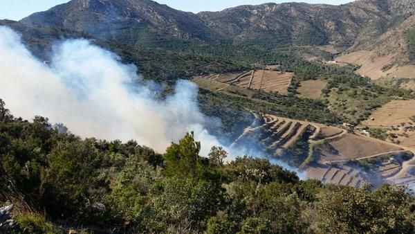 Imatges de la zona de l'incendi