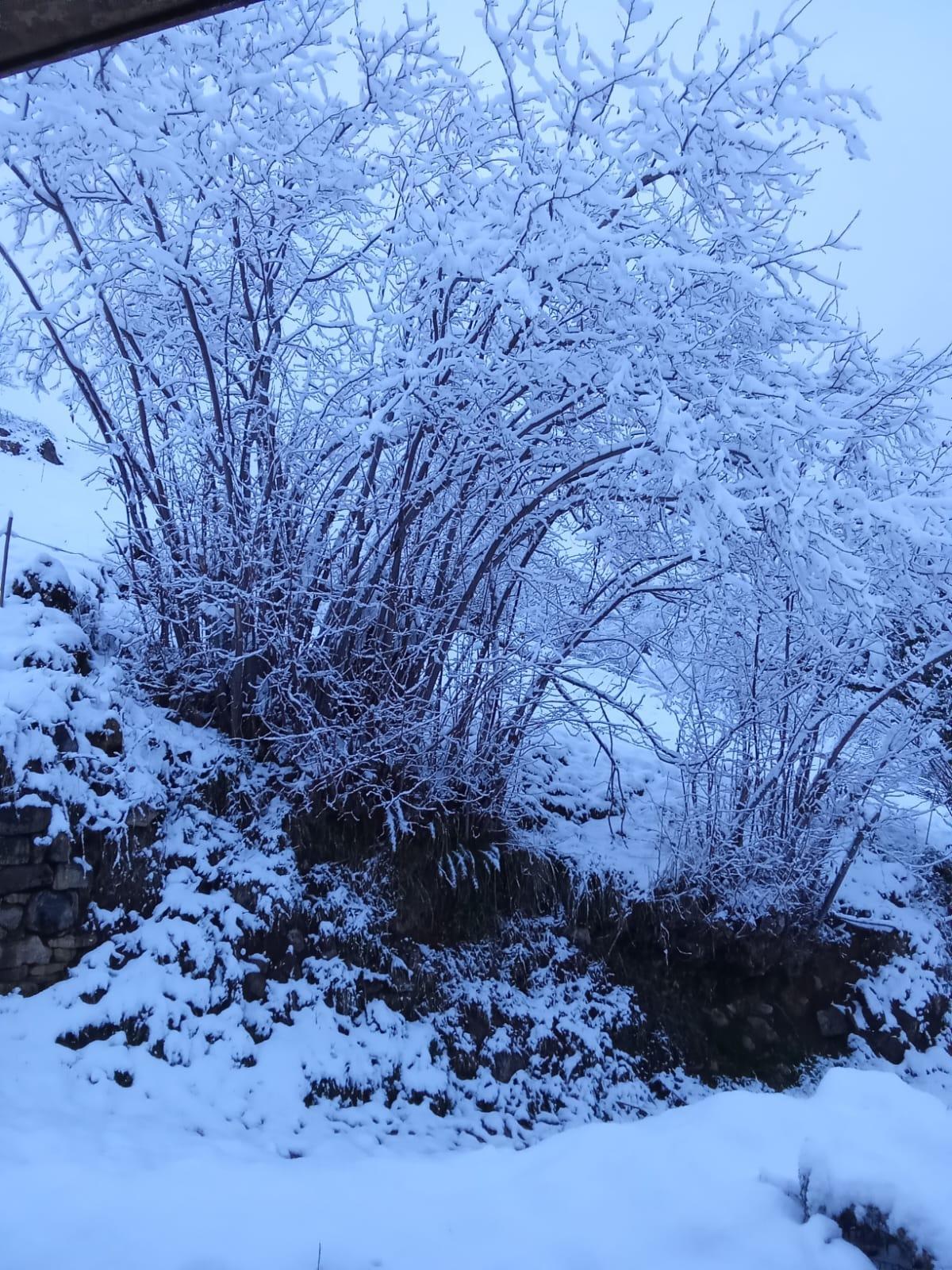 La nevada en los pueblos de Tolinas, en imágenes