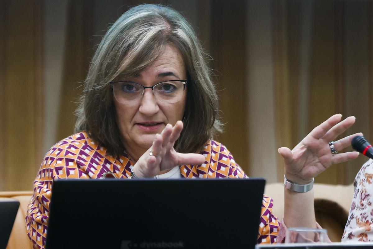 La presidenta de la Autoridad Independiente de Responsabilidad Fiscal (AIReF), Cristina Herrero, en el Congreso de los Diputados. La presidenta de la Autoridad Independiente de Responsabilidad Fiscal (AIReF), Cristina Herrero, en el Congreso de los Diputados.