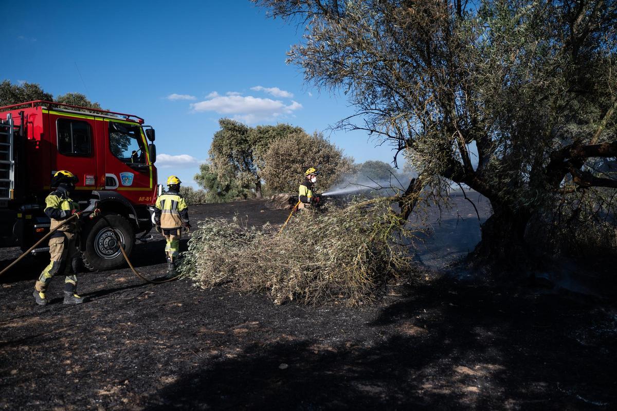 Fotogalería | Las imágenes del incendio de Las Viñas, en Arroyo de la Luz