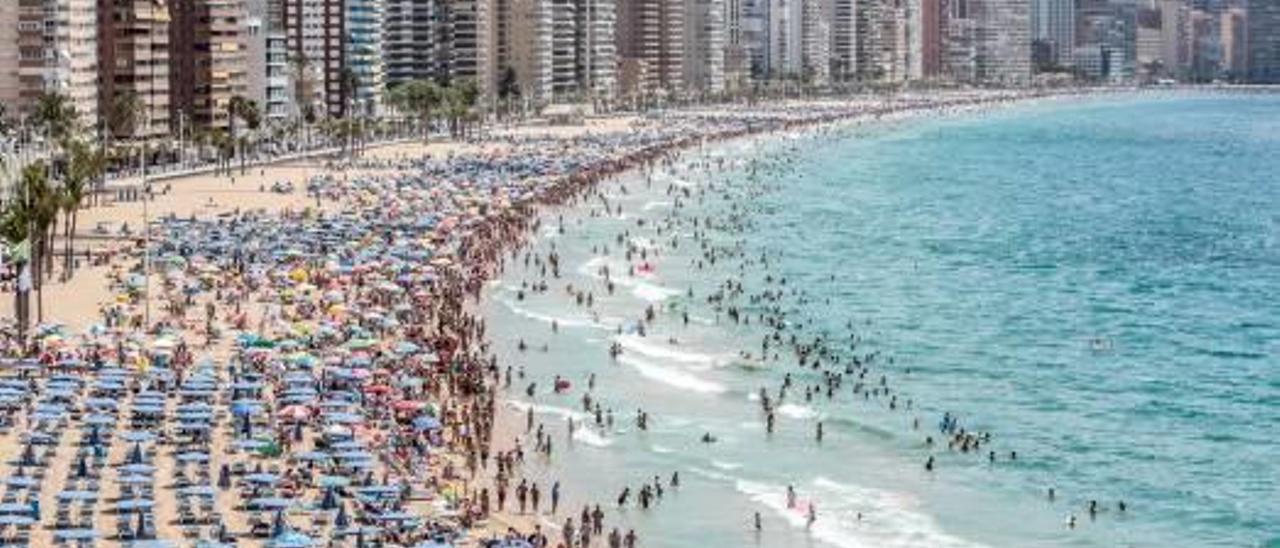 Imagen de la playa de Levante de Benidorm, icono turístico del Mediterráneo, repleta de bañistas el pasado verano.