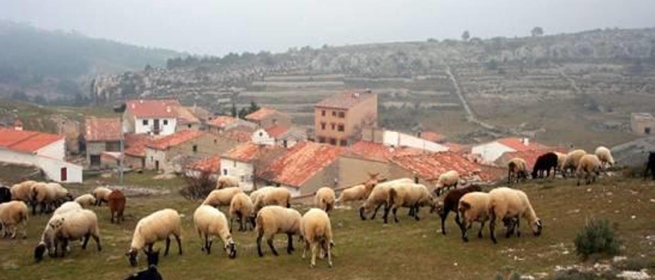 visitar la tinença es poder disfrutar de naturaleza, encanto rural, buena gastronomía y joyas arquitectónicas en un todo en uno. El embalse de Ulldecona se convierte en un «mar interior» en el que disfrutar tanto a nivel paisajístico como lúdico. Las rutas para descubrir el parque natural, o las diferentes zonas protegidas la hacen muy apetecible en otoño.