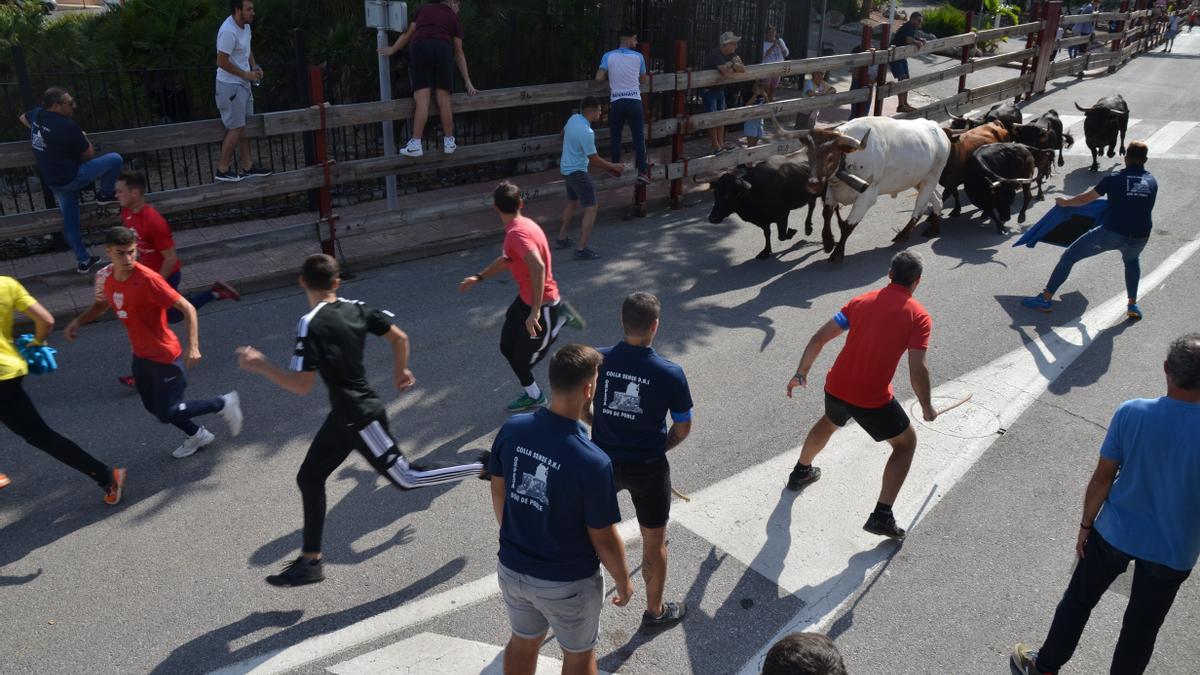 El encierro ha sido el primero de los actos taurinos que se celebrarán durante la jornada de sábado.