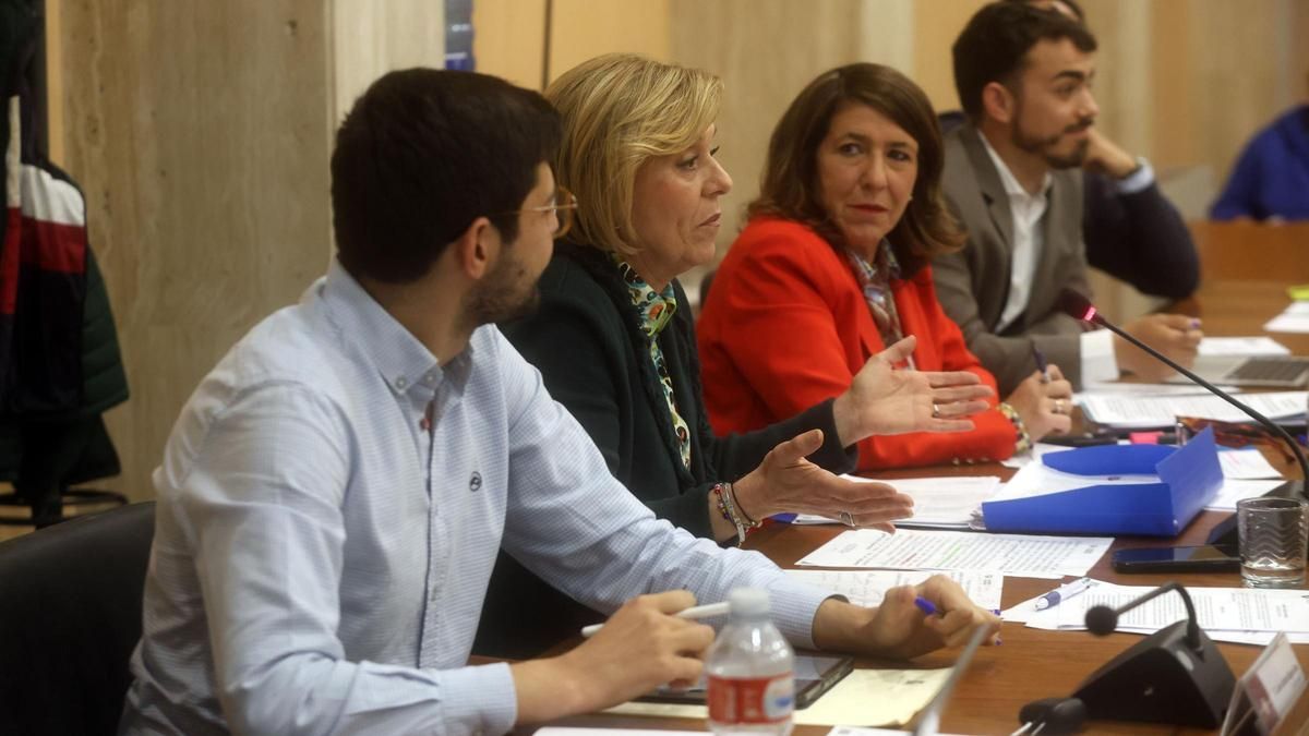 Concejales del PP de Vilagarcía en un pleno.