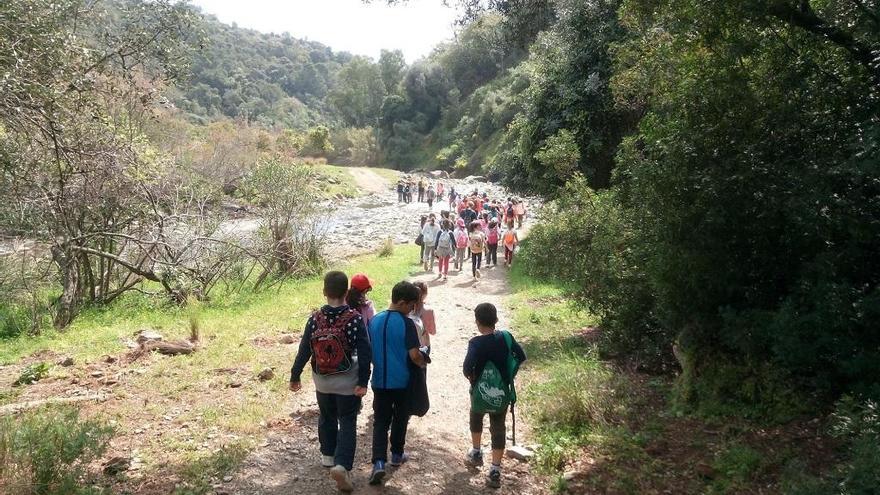 Niños de colegios de  Estepona realizan senderismo por los parajes del municipio