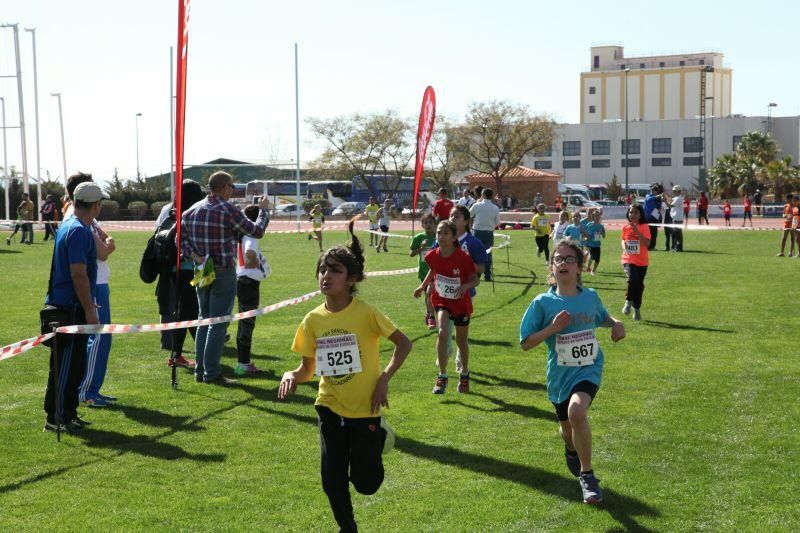 Final Regional de Campo a Través en Edad Escolar