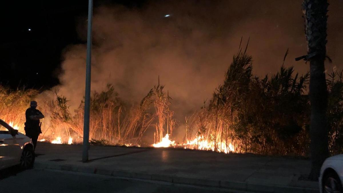 Las llamas cercanas a los coches, esta madrugada en la avenida Enrique Chulio de Cullera.