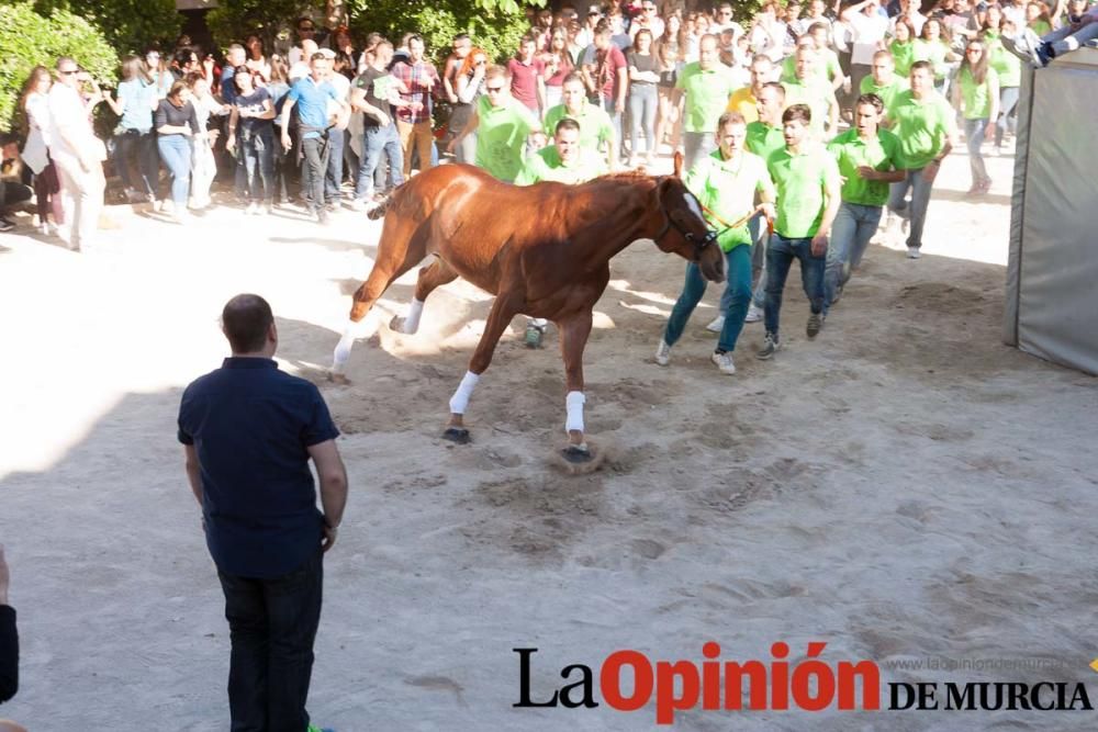 Día uno de mayo, entrada de caballos al Hoyo