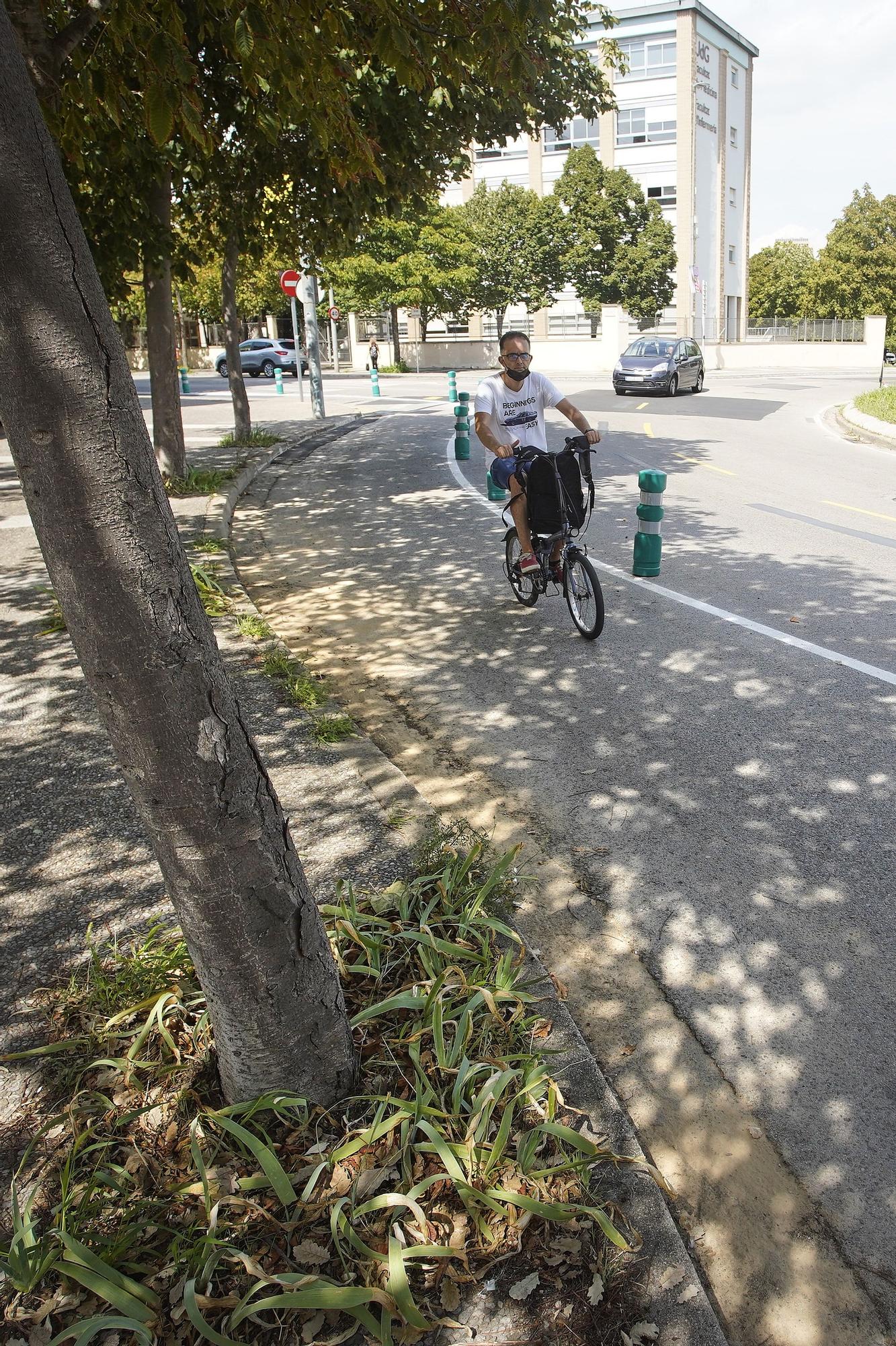 El carril bici de l’avinguda Lluís Pericot i com intentar solucionar obstacles pel camí