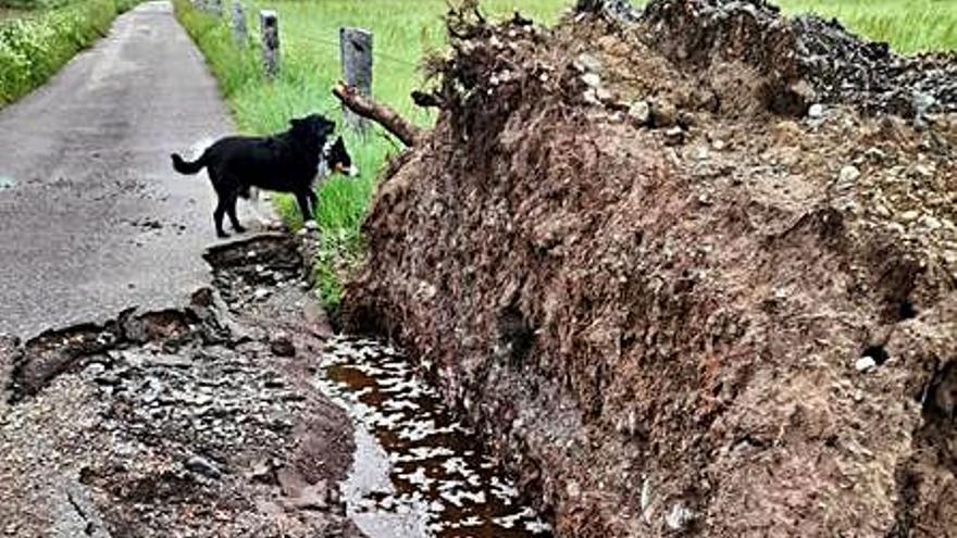 Afectacions en un camí a Puigcerdà | AJUNTAMENT DE PUIGCERDÀ