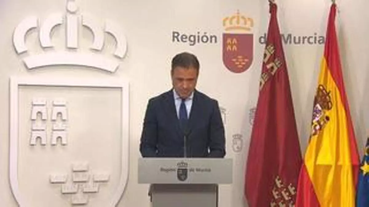 El Gobierno murciano teme que el Miteco deje fuera a la Región de la nueva planificación de electricidad