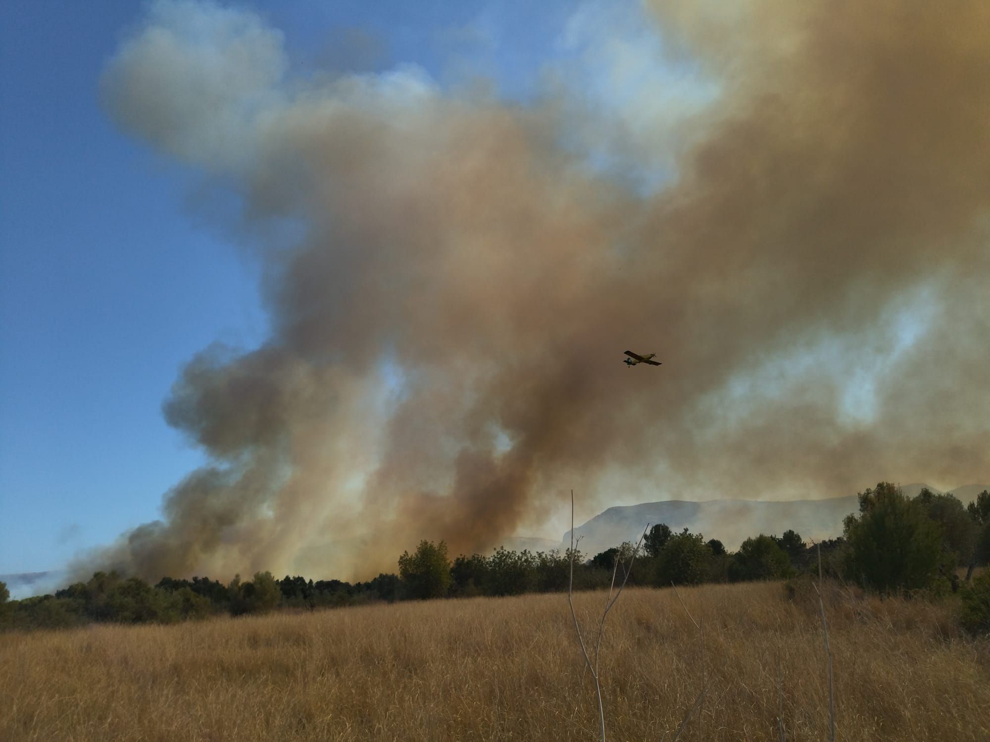 Declarado un incendio en el barranco de la Hiedra en Xàbia, cerca del Montgó