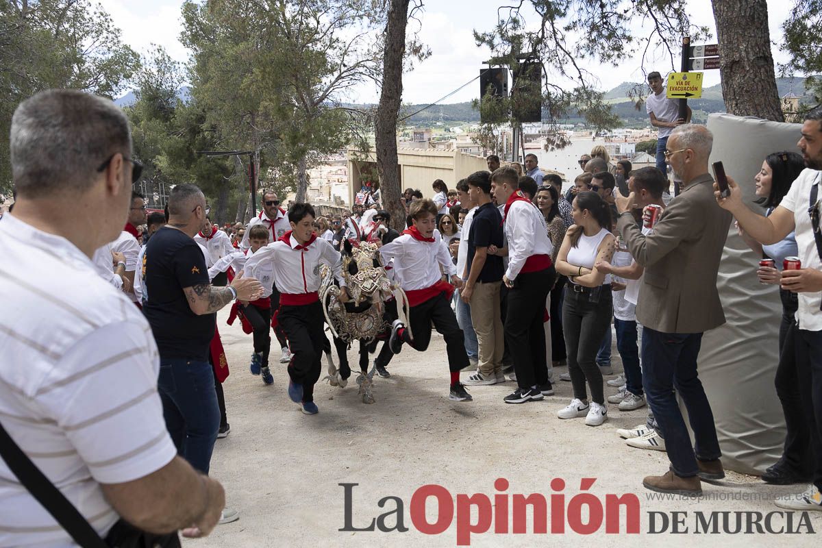 Fiestas de Caravaca | Desfile infantil del Bando de los Caballos del Vino