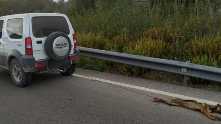 Absuelto el hombre que arrastró a un perro atado a su coche en Cádiz