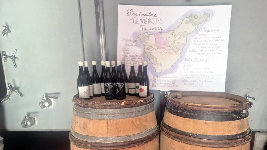 El futuro del vino atlántico ya está en barrica: una mañana con Envínate