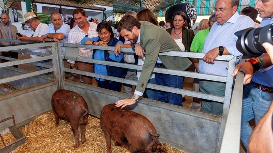 Pablo Casado secunda el anuncio de Pedro Sánchez para actualizar las prestaciones