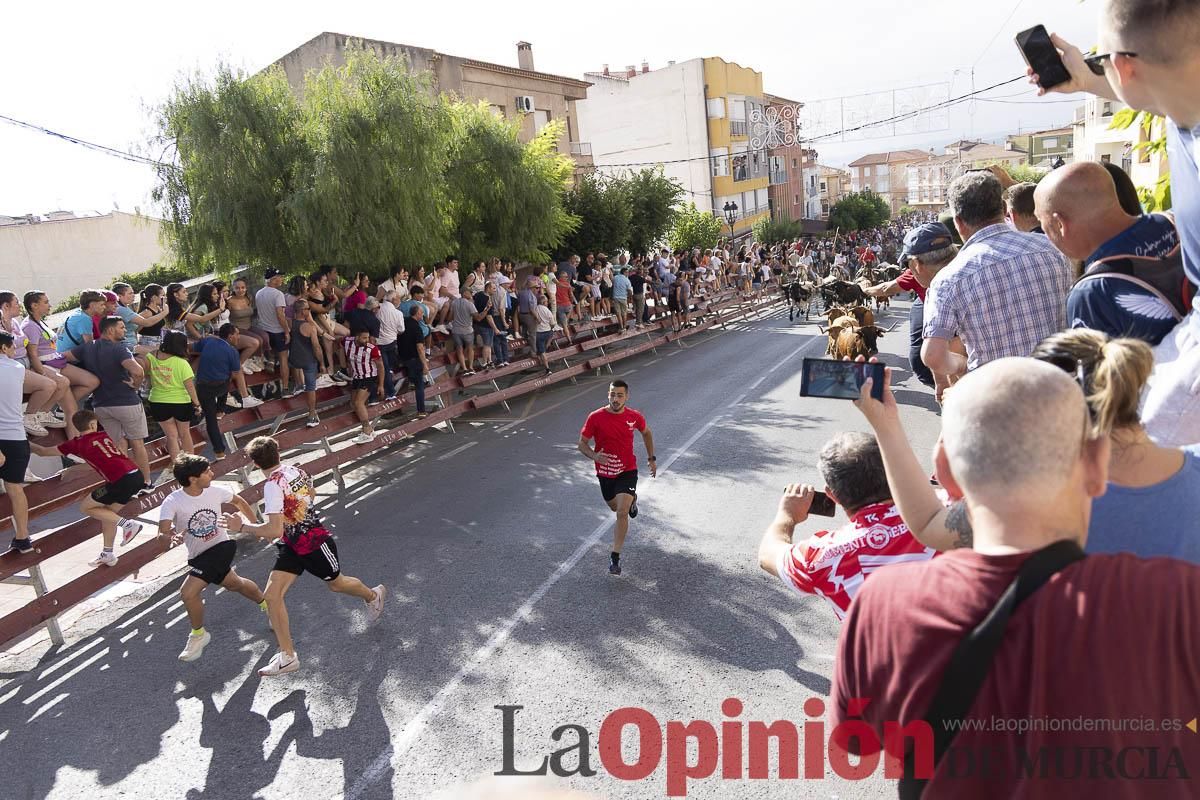 Primer encierro de las Fiestas de Moratalla