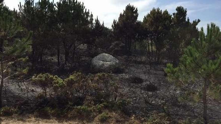 Parte del bosque quemado en Con Negro (O Grove). // FdV