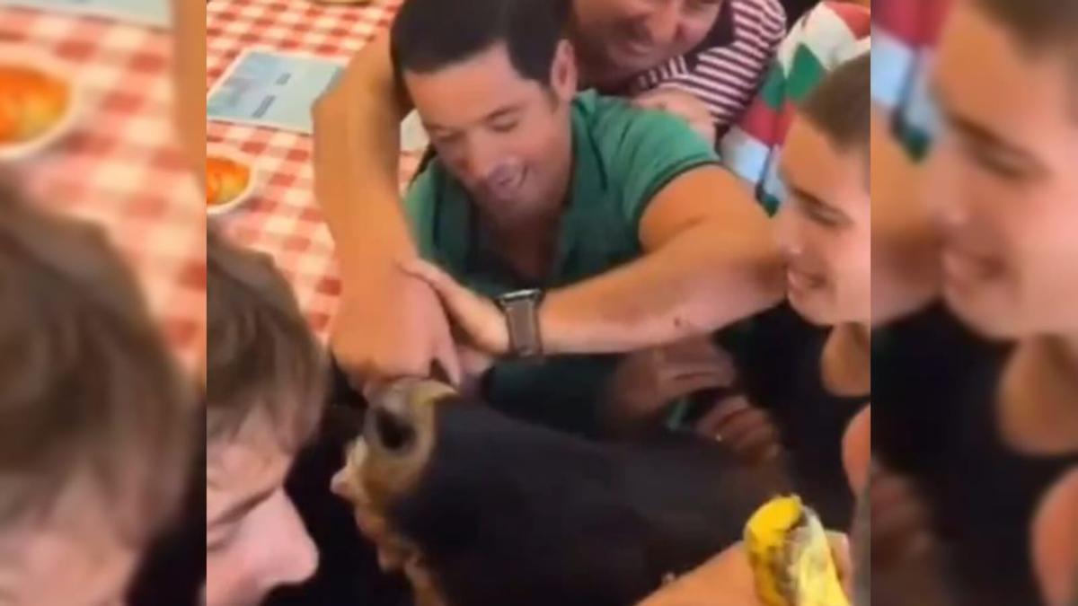 Vídeo: Indignación por las duras imágenes del maltrato a una becerra