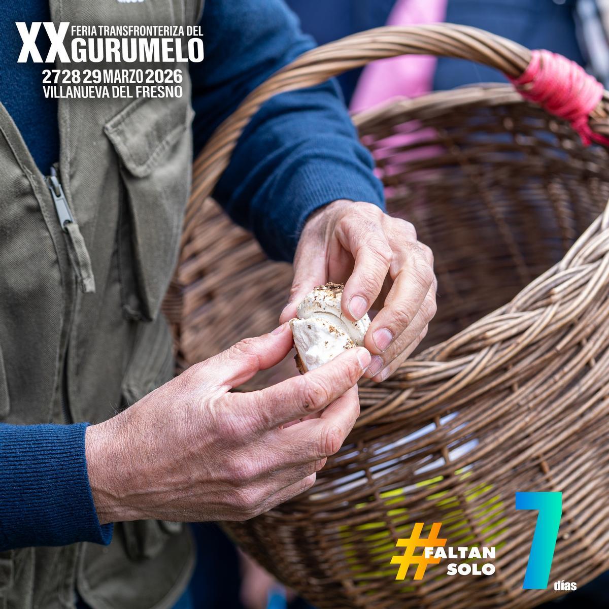 Cartel de la Feria del Gurumelo