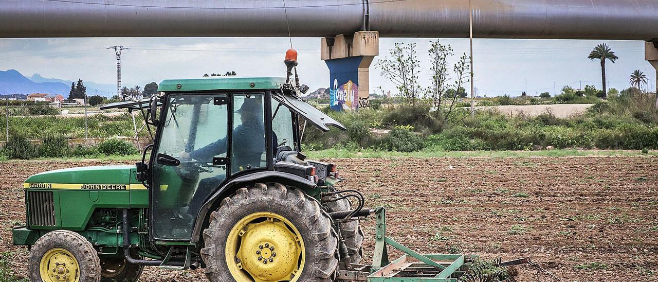 Un agricultor trabaja con un tractor en su explotación agrícola de la Vega Baja, situada junto a las tuberías del trasvase. | TONY SEVILLA