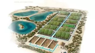 El Cinturón Verde del Mar Menor avanza con sus dos primeros filtros, capaces de eliminar hasta el 97,5% de los nitratos