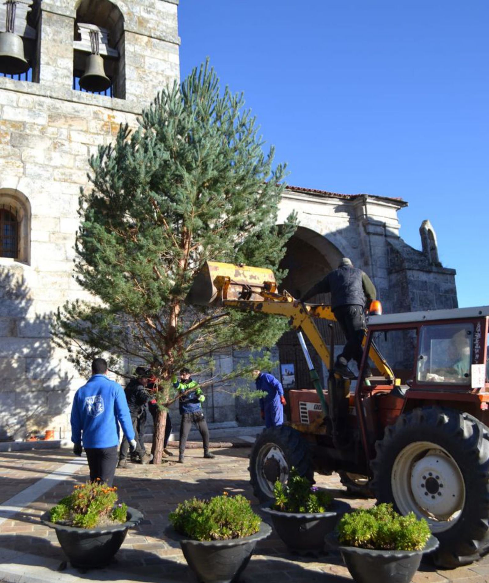 Colocación del árbol navideño en Nuez. | Ch. S. 
