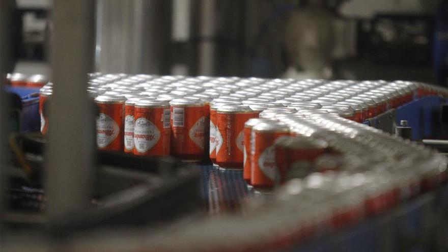 Mahou San Miguel aumenta un 17,6% su producción en Córdoba en los últimos cinco años