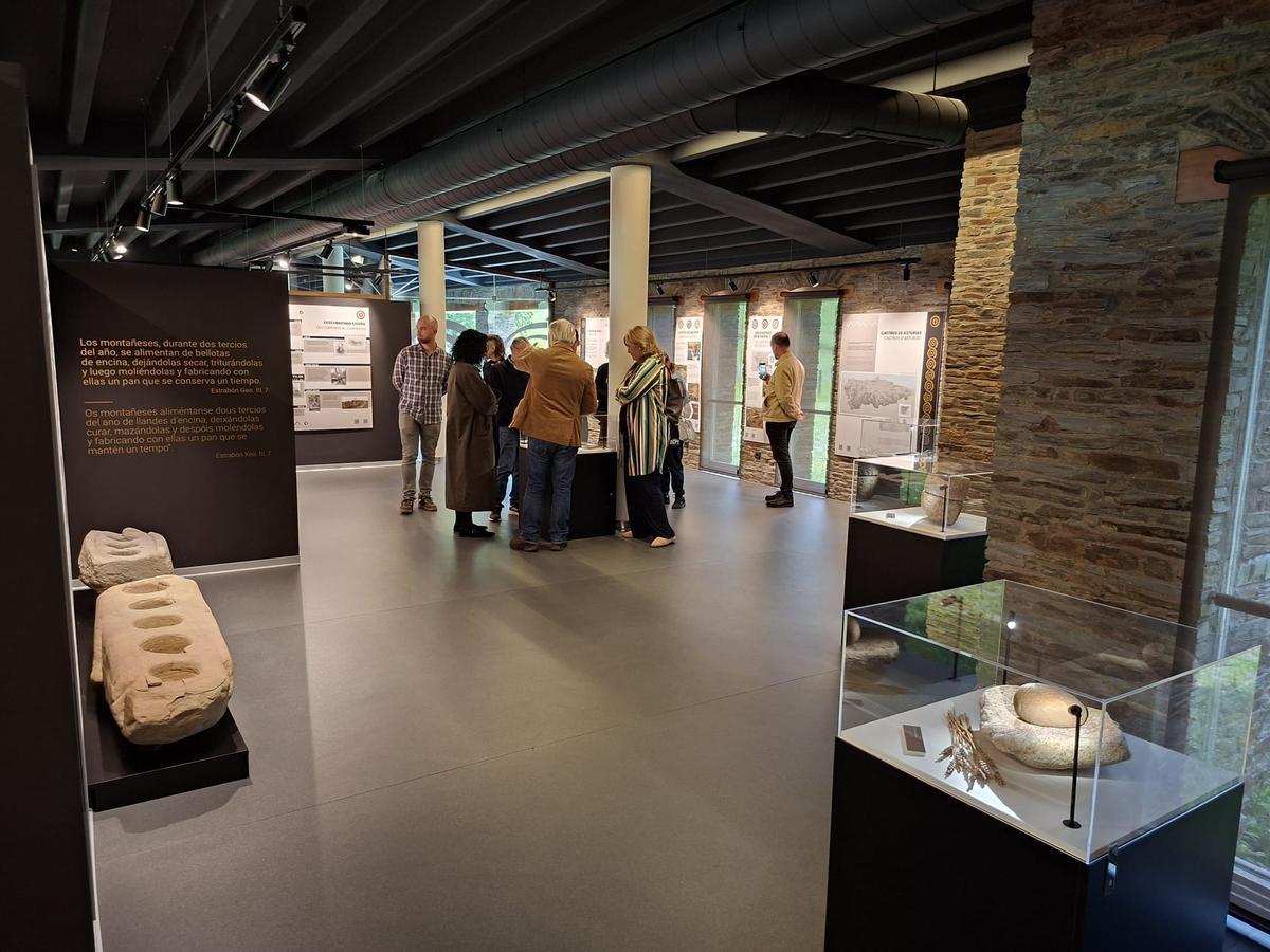 En imágenes: El aula didáctica del castro de Coaña se renueva con contenidos más actuales y piezas inéditas En imágenes: El aula didáctica del castro de Coaña se renueva con contenidos más actuales y piezas inéditas