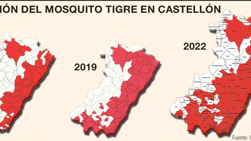 Evolución del mosquito tigre en Castellón