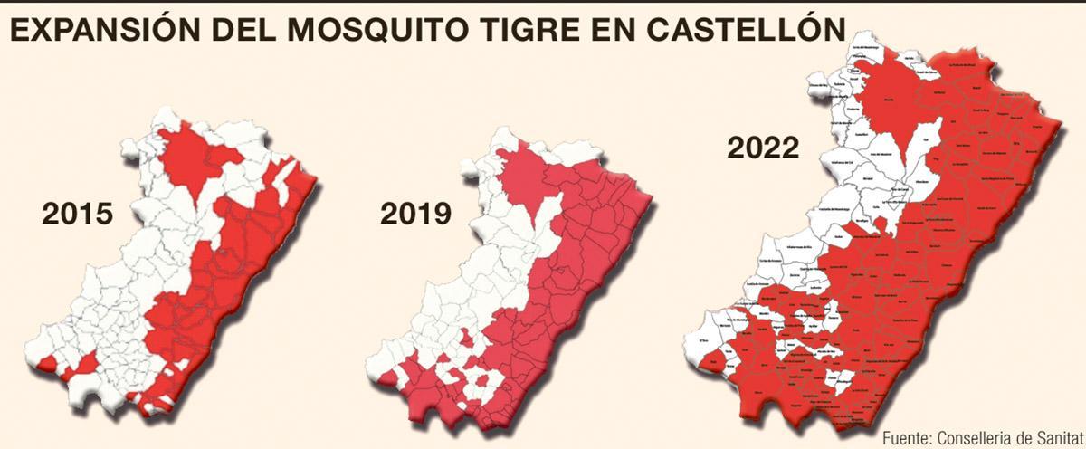 Evolución del mosquito tigre en Castellón